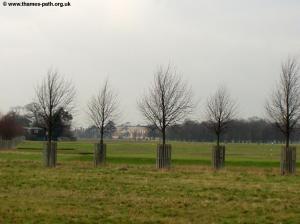 Hampton Court Park, with Hampton Court Palace ahead