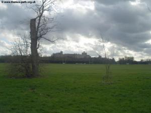 Windsor Castle across the park